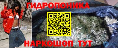 гидропоника Сланцы
