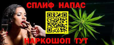гидропоника Сланцы