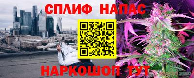гидропоника Сланцы