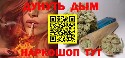 гидропоника Сланцы