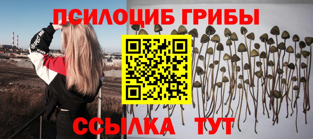 Псилоцибиновые грибы Psilocybine cubensis  Вход с VPN  Омск 